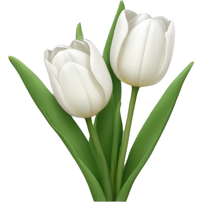 White tulips  emoji