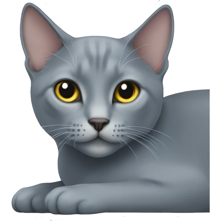 Russian blue cat with white chest laying  emoji
