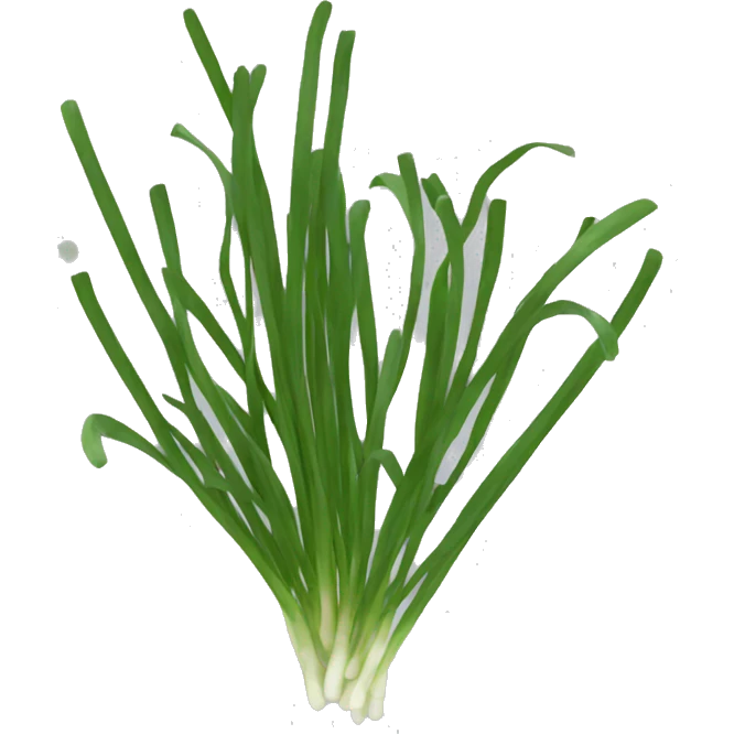 chives emoji