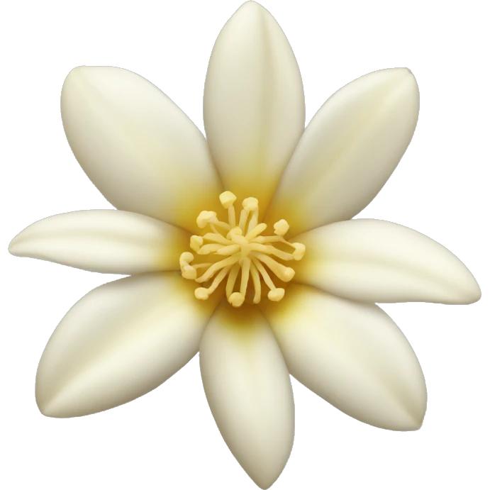 Vanilla flower emoji