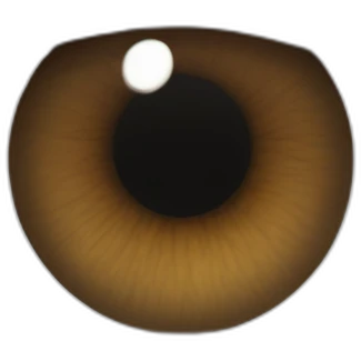 narrowed almond-shaped hazel eyeball with thick black eyelashes  with dark brown eyebrow arched downward emoji