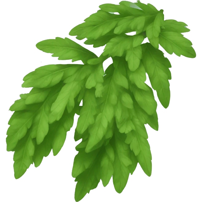 epazote emoji
