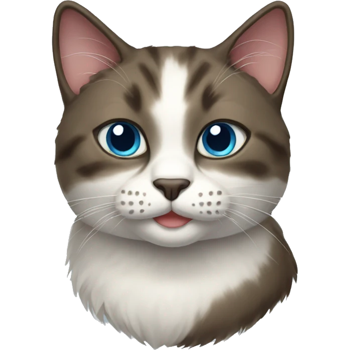 Snow-shoe cat emoji