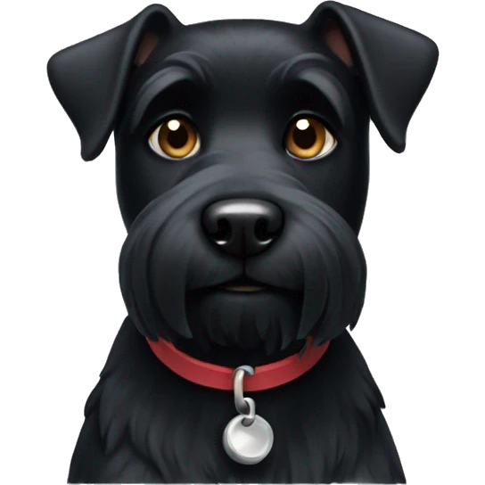 All Black Terrier dog emoji