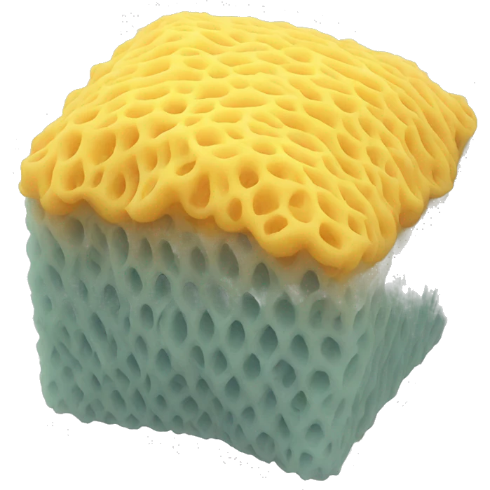 mesh sponge emoji