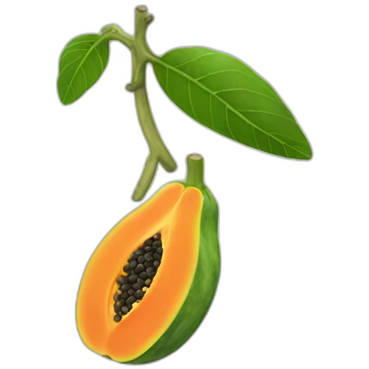 Papaya emoji