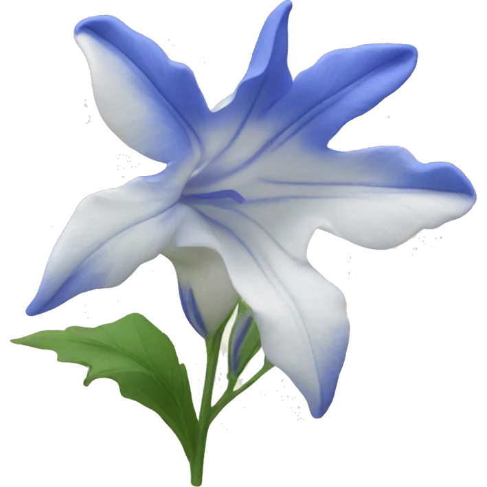 blue and white bellflower emoji