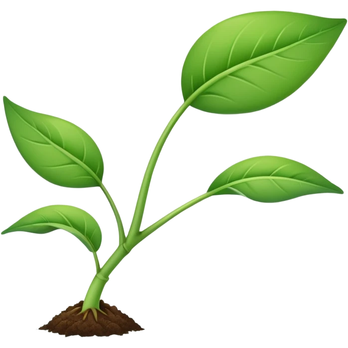young shoot growing with a folded leaf emoji