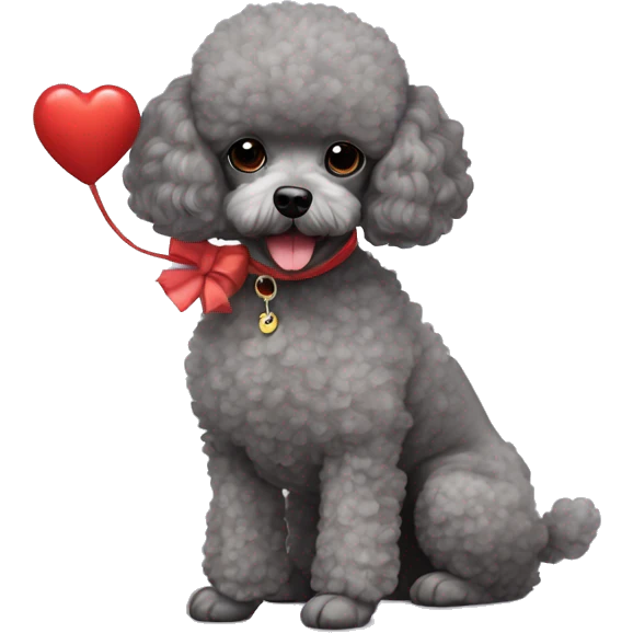 Grey mini teacup poodle with a red toy poodle  emoji