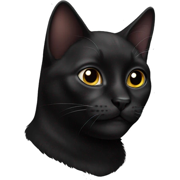 Black cat  emoji