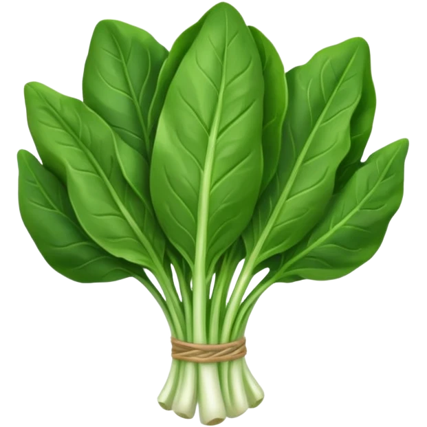 Spinat gemüse emoji