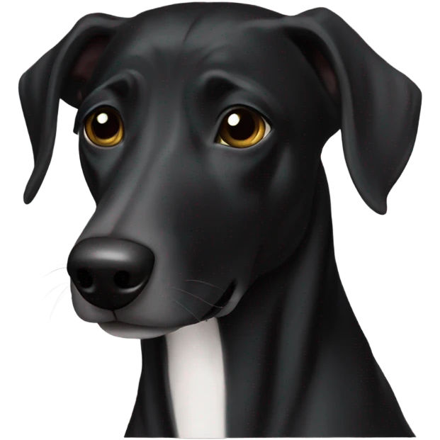 Greyhound lab mix black  emoji