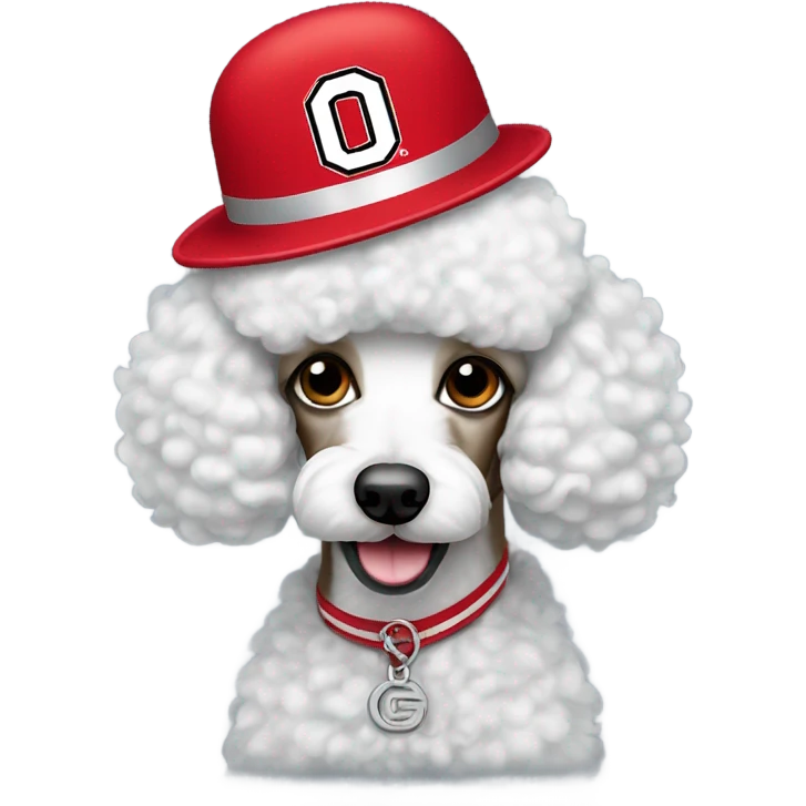 Poodle wearing Ohio state hat emoji