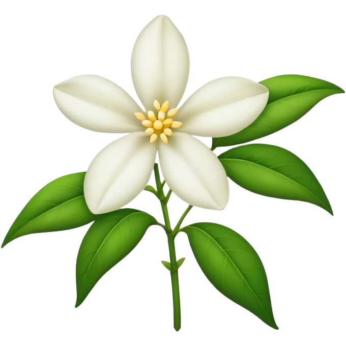 Jasmin flower  emoji