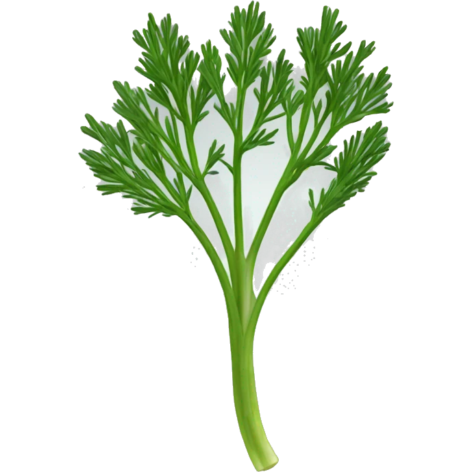 Dill plant emoji