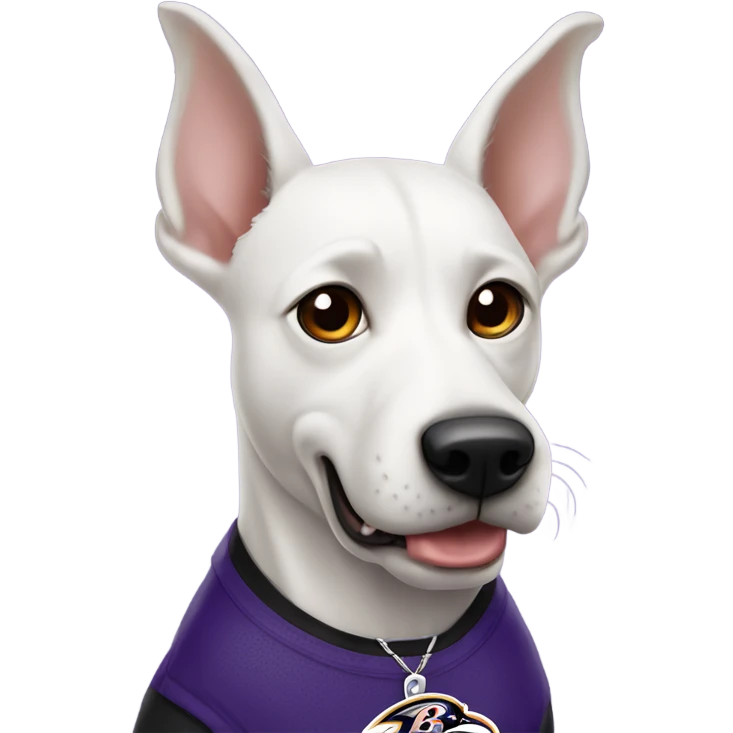 White dog with pointy ears and Baltimore Ravens  emoji