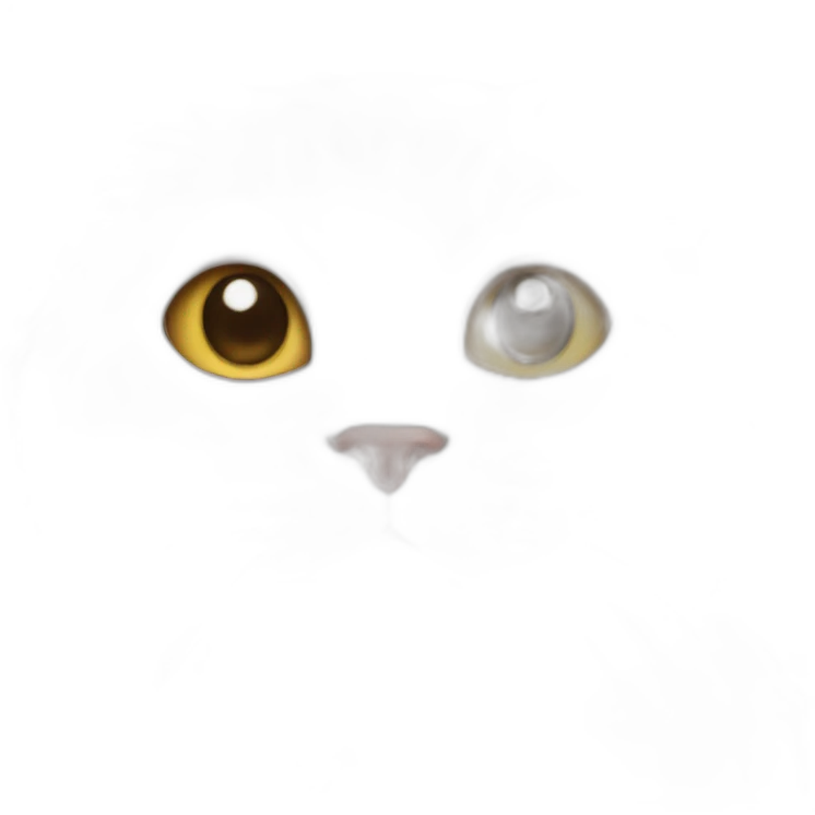 White cat emoji