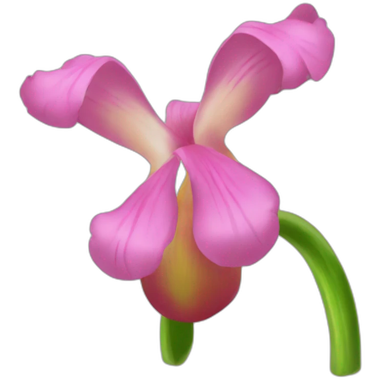 Clitória flover emoji