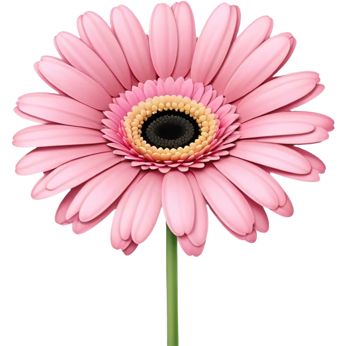 single Soft Pink Gerbera Daisy, straight stem emoji