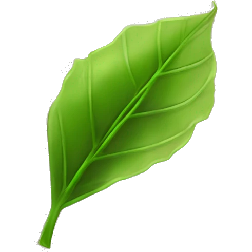 open holy Bible with a leaf on it emoji