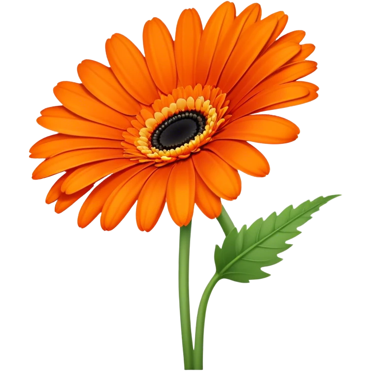 single Vibrant Orange Gerbera Daisy, straight stem emoji