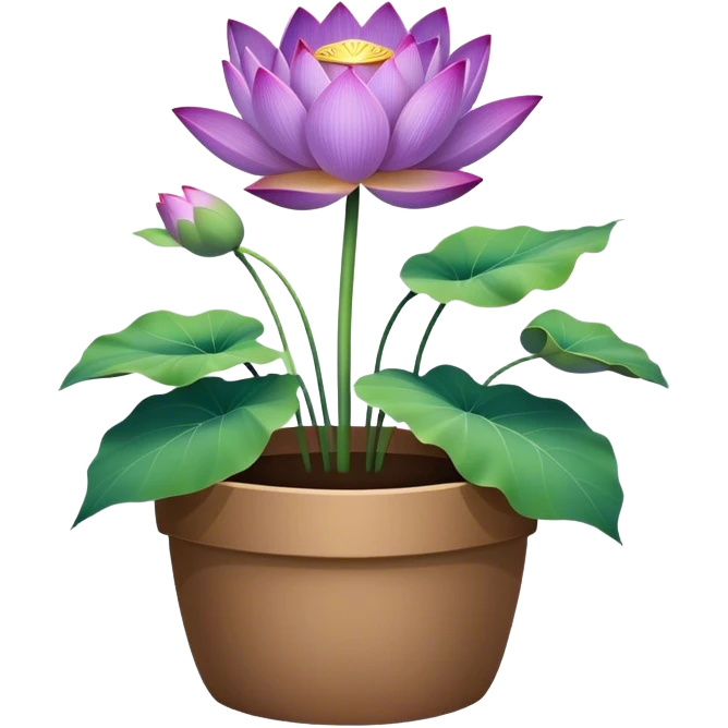 flower pot Purple Lotus,stem, Lotus leaf emoji