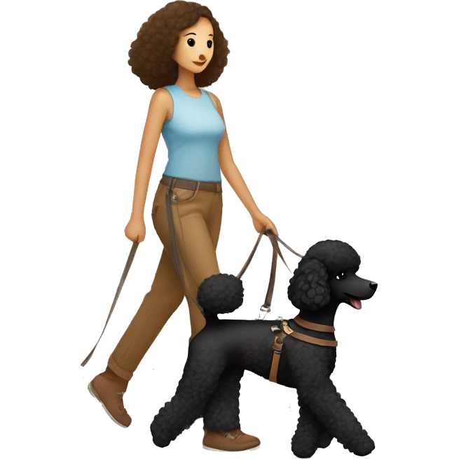 3 legs One Small unshaved Black Poodle with brown harness is walking with Korean girl emoji
