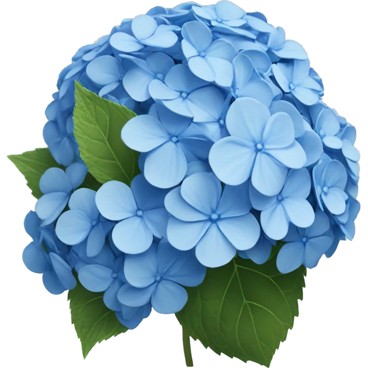Blue hydrangea ￼ emoji