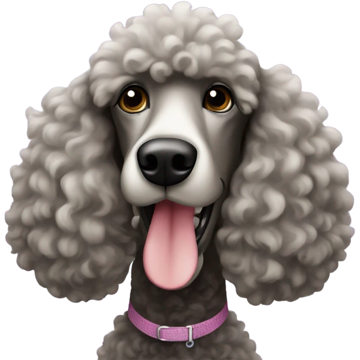 Large poodle on north padre island emoji