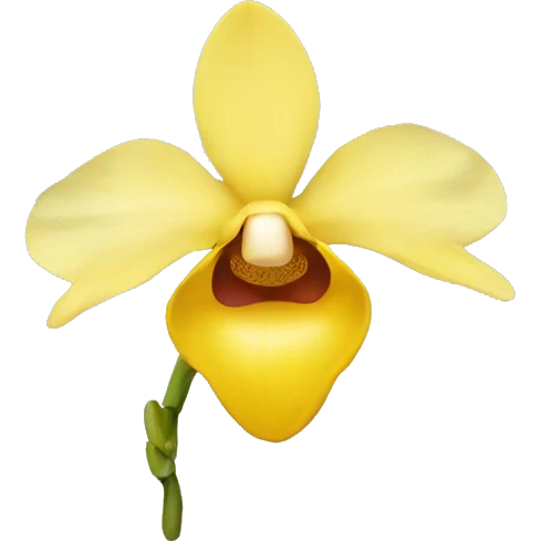 Yellow orchid emoji