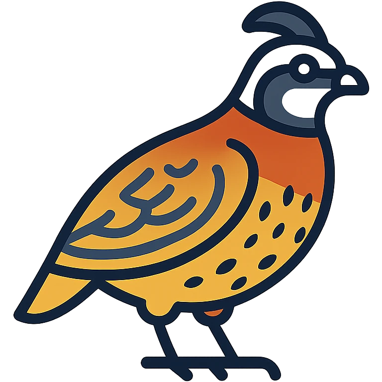 bobwhite quail, clean and modern color outline icon style emoji