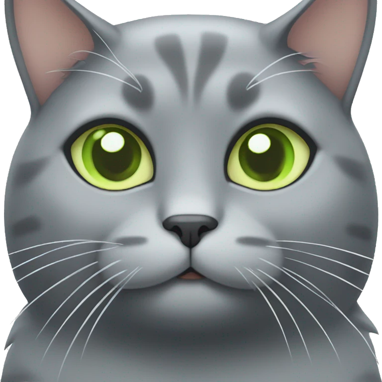 Chubby ash gray cat with light green eyes  emoji