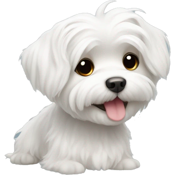 Adorable white Maltese  emoji