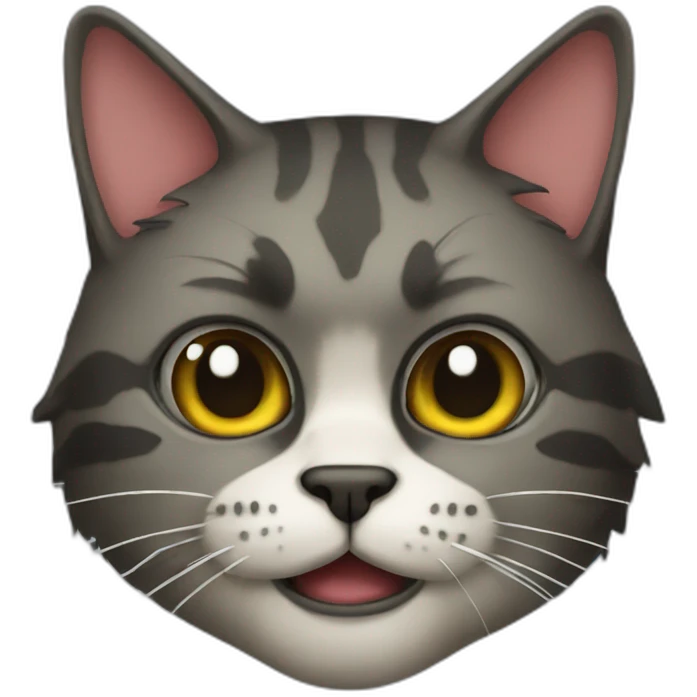 pirate cat emoji
