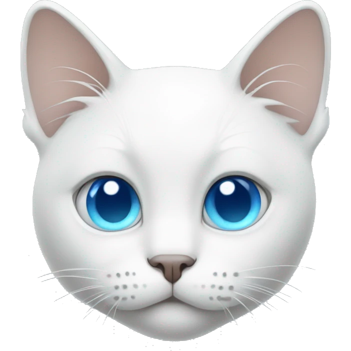 White cat with sad glassy blue eyes emoji