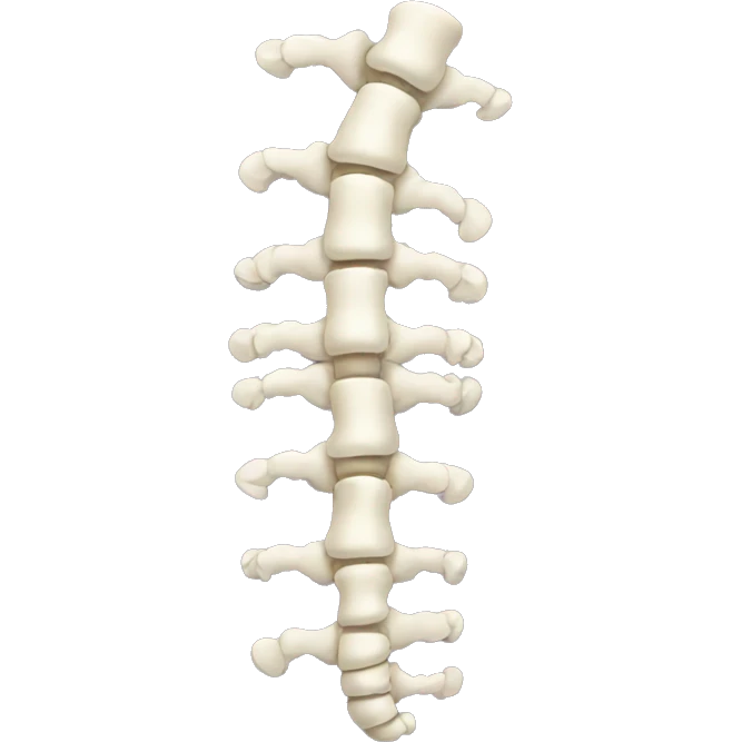 spine emoji