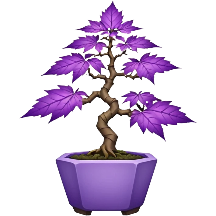  small short bonsai pot plant trident maple purple marijuana with triangular angular faceted asymmetrical originally shaped body  emoji