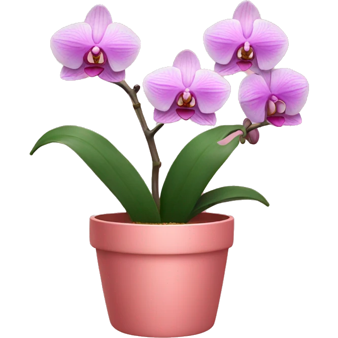 Orchid in a pink pot emoji