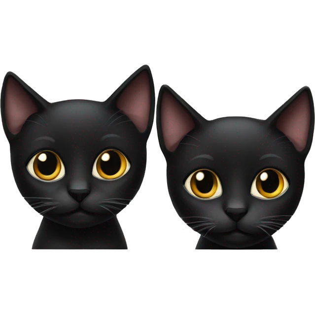 2 black cats  emoji