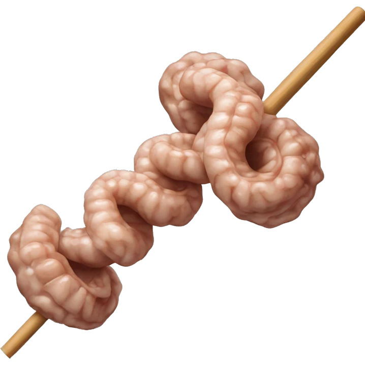 A skewer of lamb intestines like turkish kokorec emoji