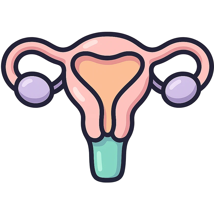 female uterus minimalist, icon-color-outlined style, detailed shadows and highlights, thin clean contours, soft rounded shapes, pastel palette #98B5BC, #B5B3C1, #C9A3C9, #E4C0CA, #F7DCD1, #F7C0AA, modern Japanese pop art and sticker aesthetic, soft lighting, transparent background emoji