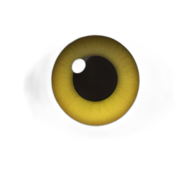 Eye eye jenner eight er emoji
