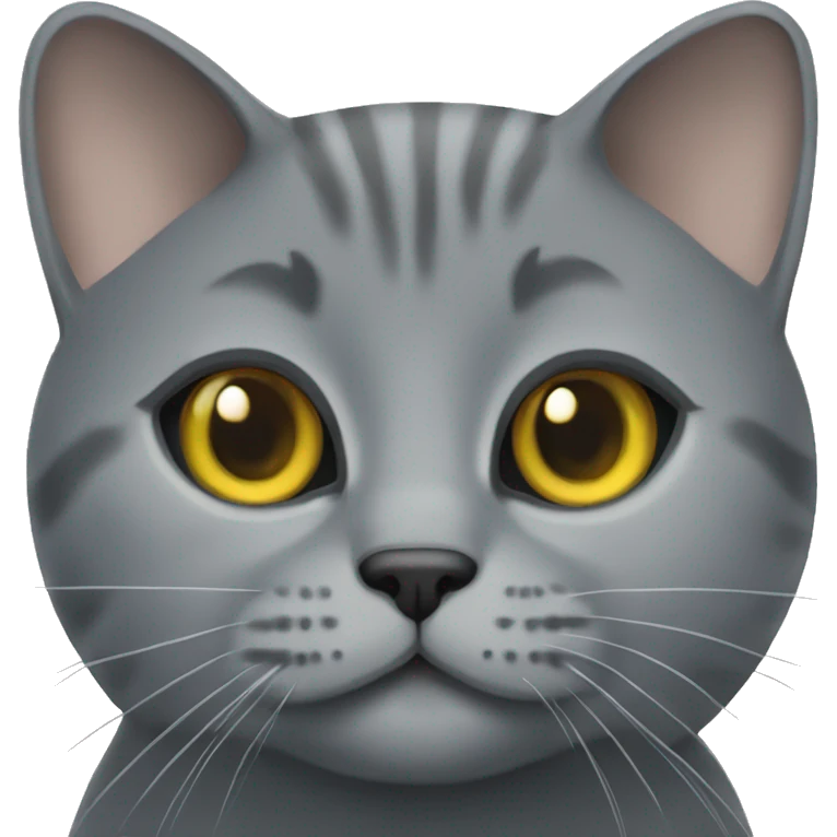 Chartreux cat emoji