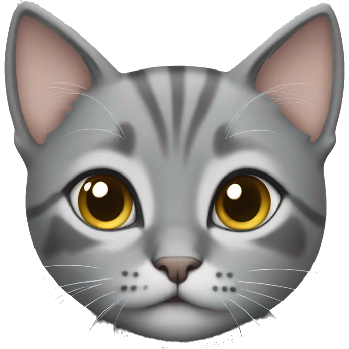 Grey kitten with hazel eyes emoji