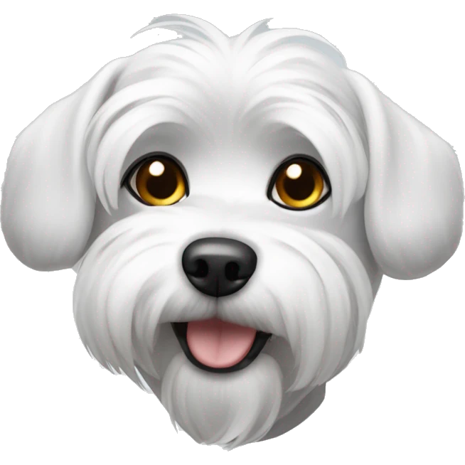 dog Maltese with a bit of grey in the ears  emoji