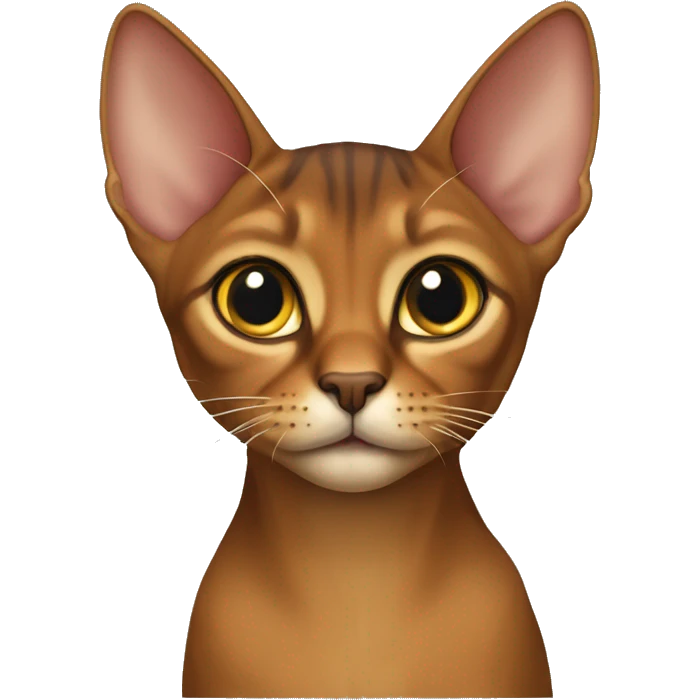 Abyssinian cat emoji