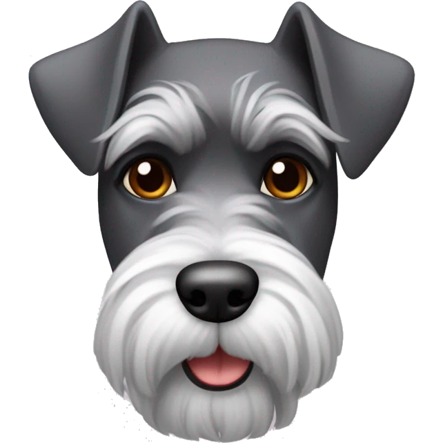 schnauzer nano con una felpa rossa emoji
