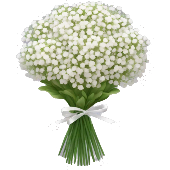 babies breath flower bouquet emoji