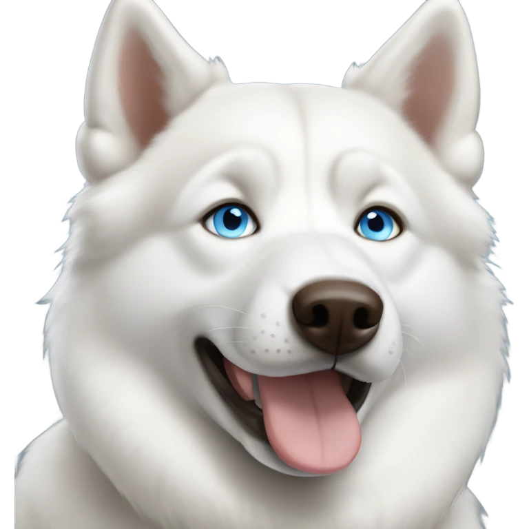 Fully white husky, blue eyes, soft brown colored nose emoji