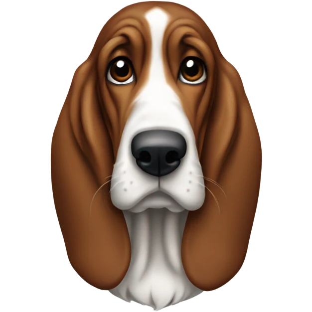 Texans fan basset hound emoji